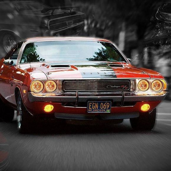 Meet your Posher, Steve - Picture 1 of 1